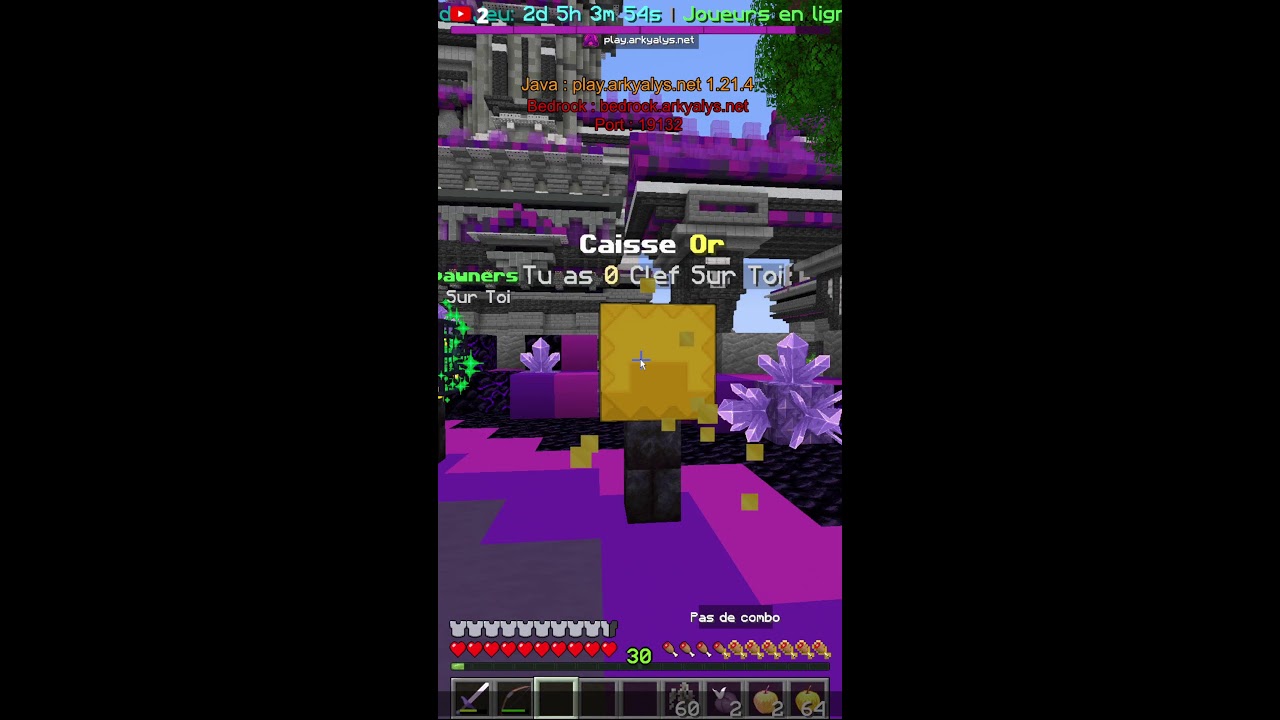 ON SE PREPARE POUR LA GUERRE SUR MINECRAFT ? ARKYALYS PVPFACTION FARM2MIN