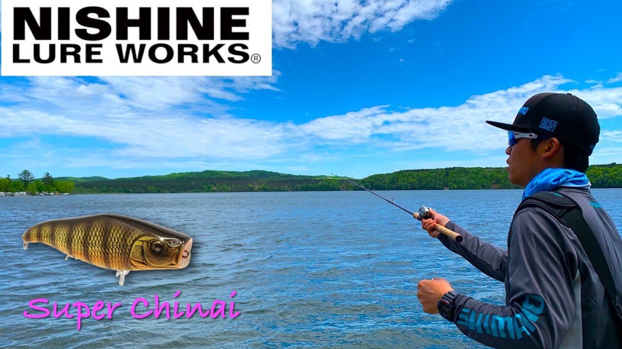 Catching multiple inland lake smallmouths on Nishine Lure Works' Super Chinai スーパーチナイで初夏のトップウォータゲーム