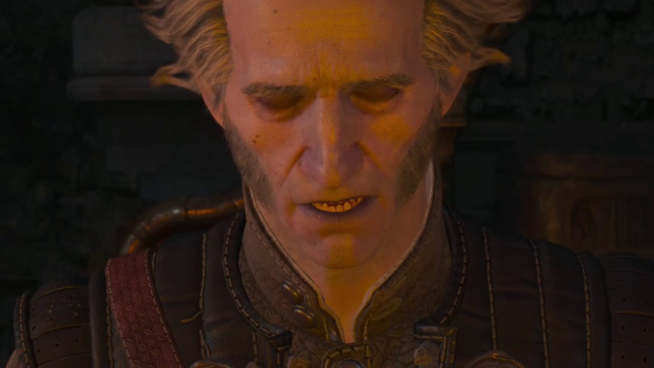 The Witcher 3 - Report Back To Regis