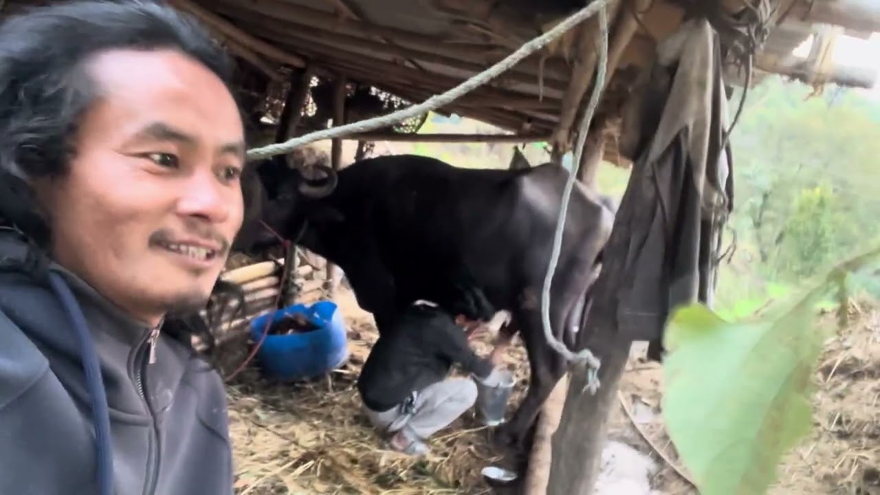 १ लाख ५० हजारको  भोईसी (Purba Nepal)