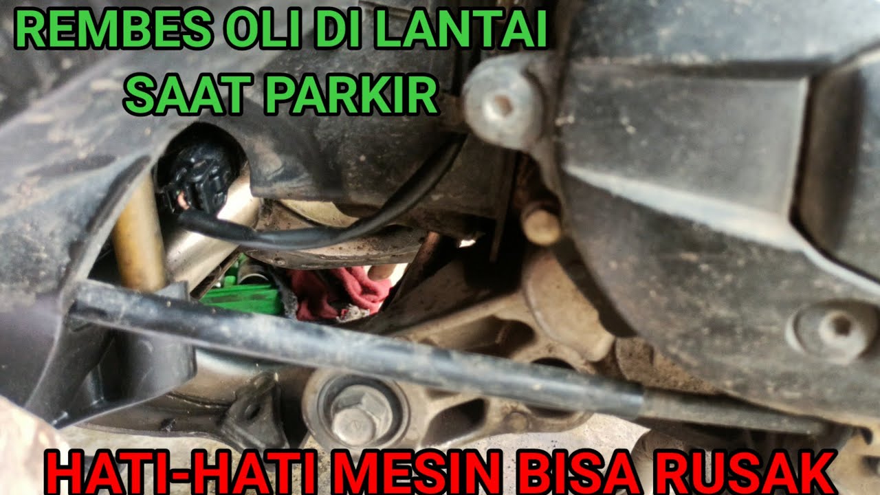 CARA MENGATASI BEAT REMBES OLI BAGIAN MESIN, SEAL HEAD BOCOR