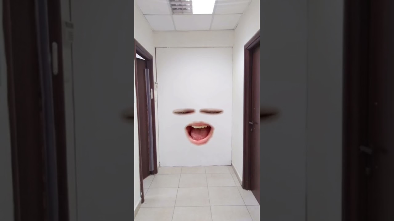 אם חפצים באולפנה היו מדברים- שמיניתשפ