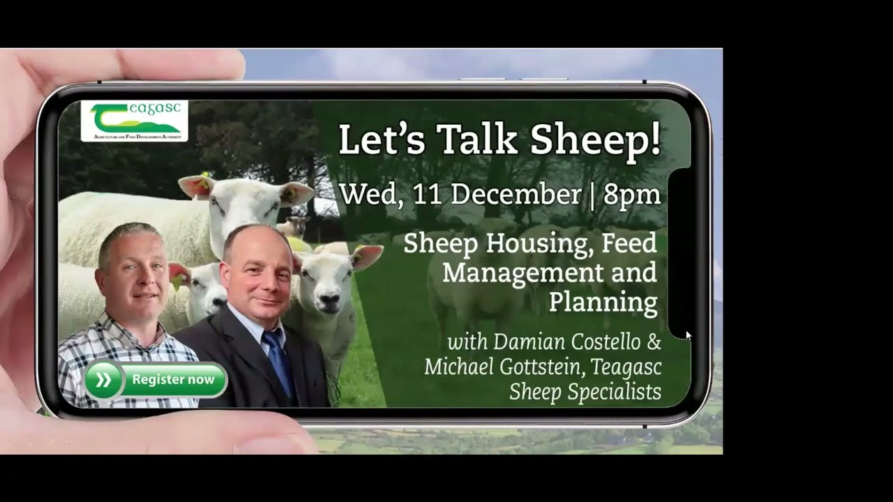 Let's Talk Sheep - Housing, Feed Management and Planning