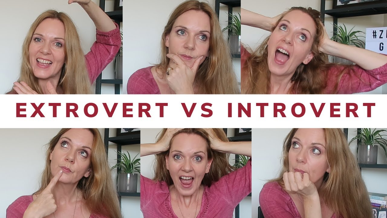 Shy EXTROVERT Vs Zesty INTROVERT - PART 1