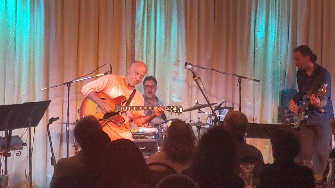 Larry Carlton 335
