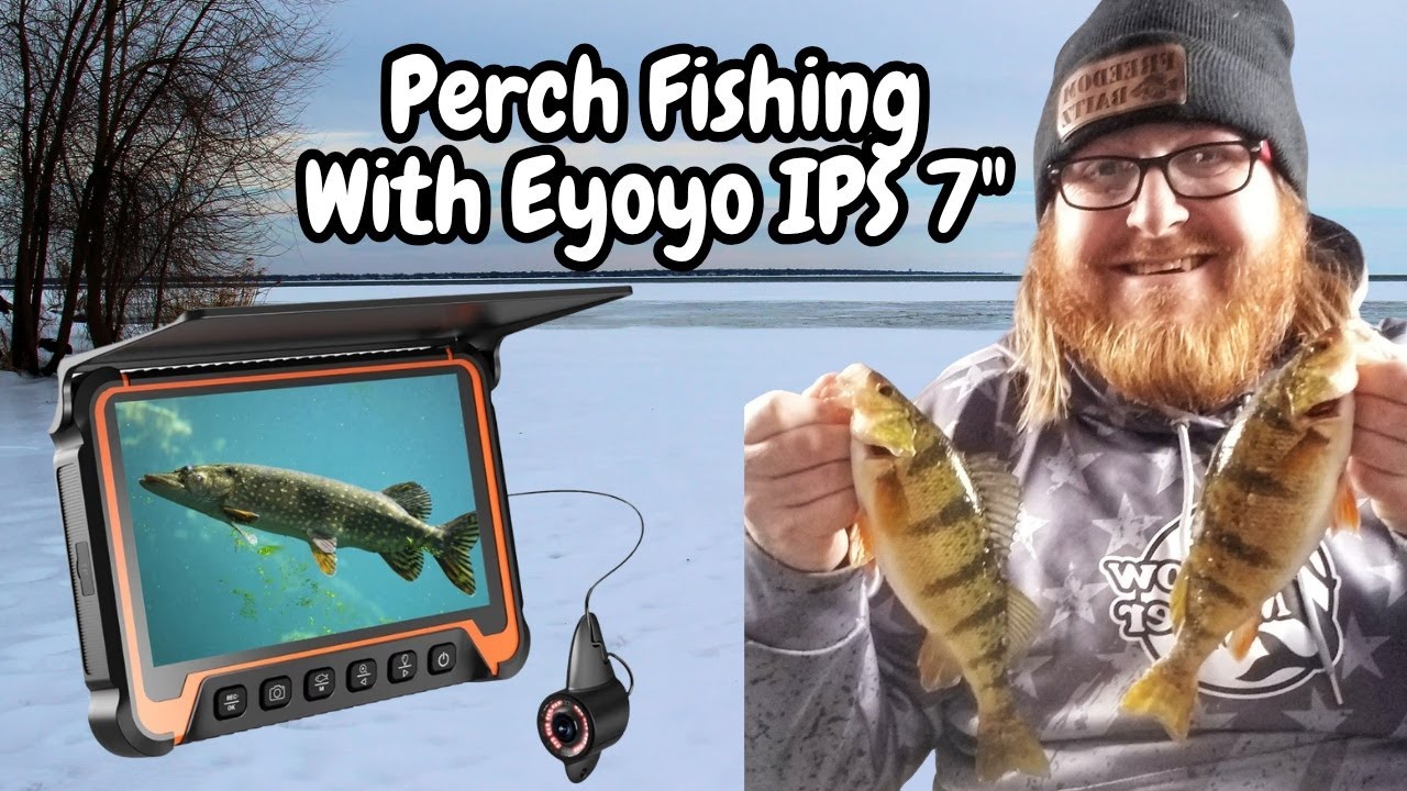 Ловля окуня с помощью катушки Eyoyo IPS 7