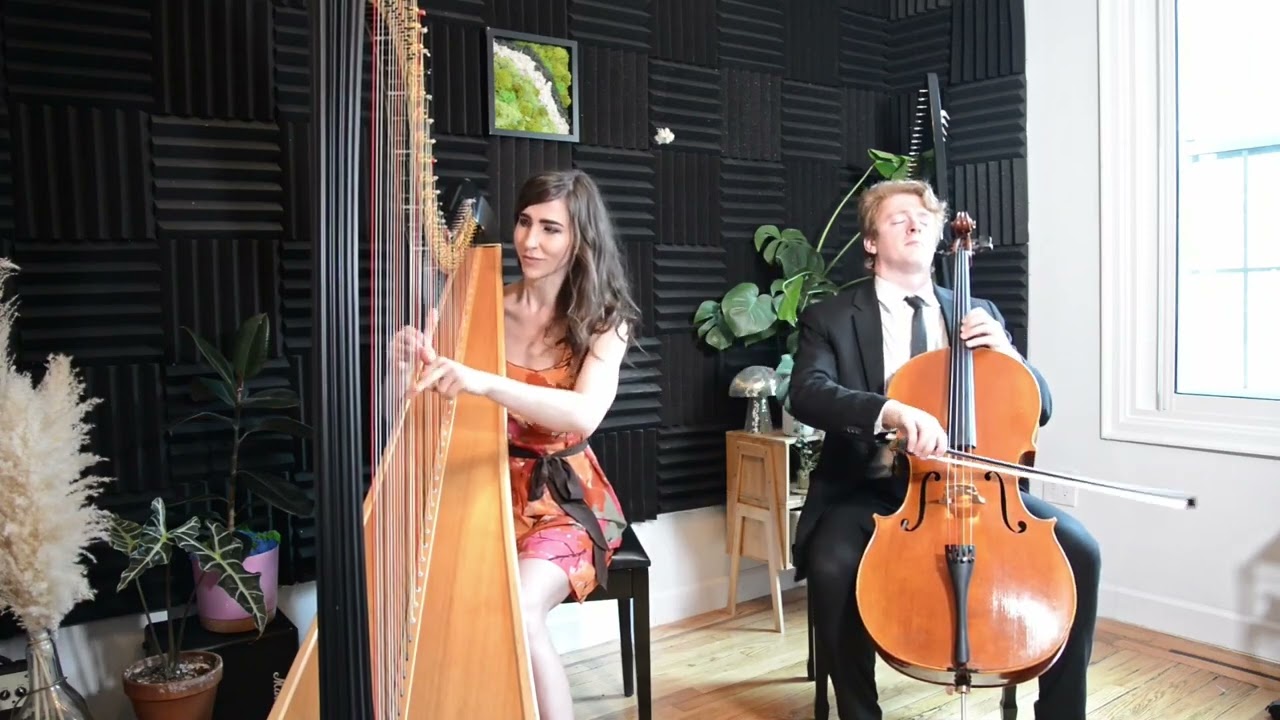 Ave Maria (Bach) - Harp and Cello