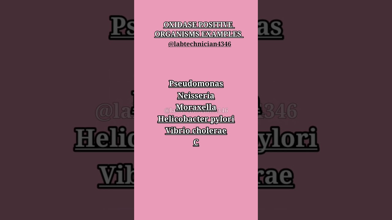 What is an example of oxidase positive||List of oxidised positive organisms||oxidase test#shorts#new