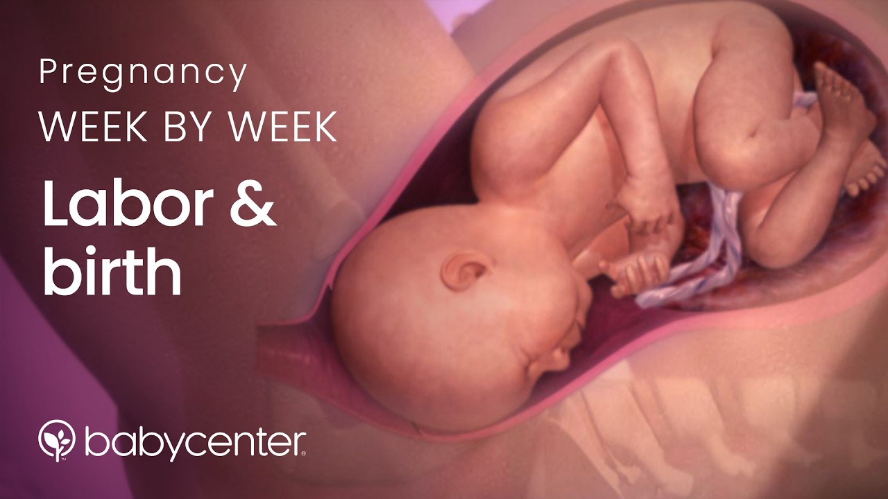 Labor and Birth | BabyCenter