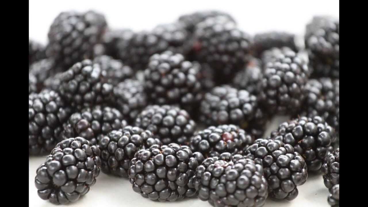φρούτα φρουτ-fruit fruit-παιδικό τραγούδι