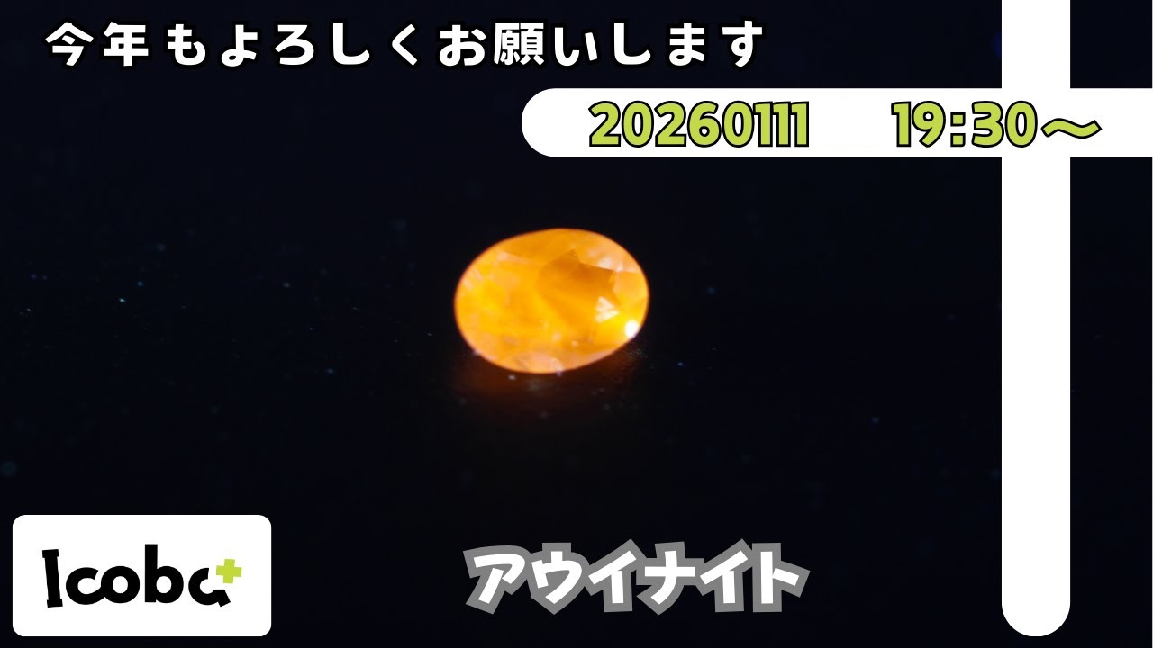 【10名様プレゼント企画あり】今年もよろしくお願いします‼️