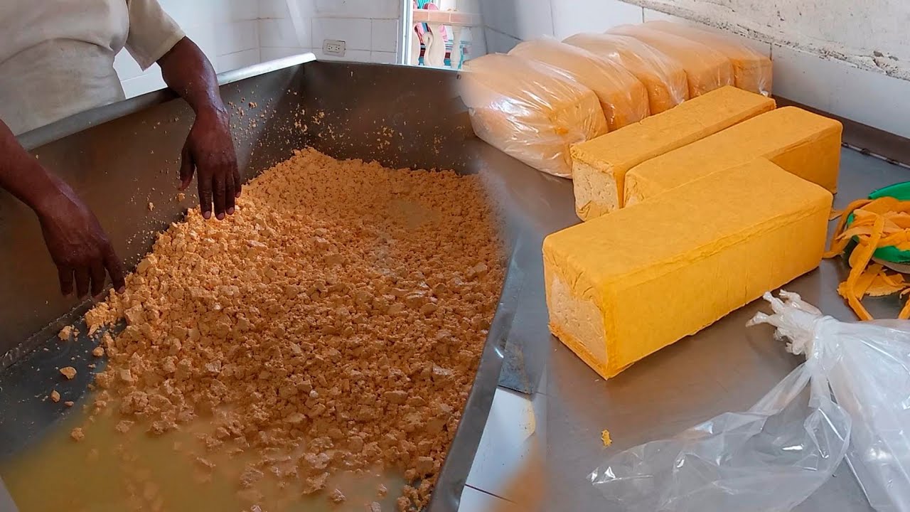 Haciendo queso amarillo de freir, how to make fry cheese in the field
