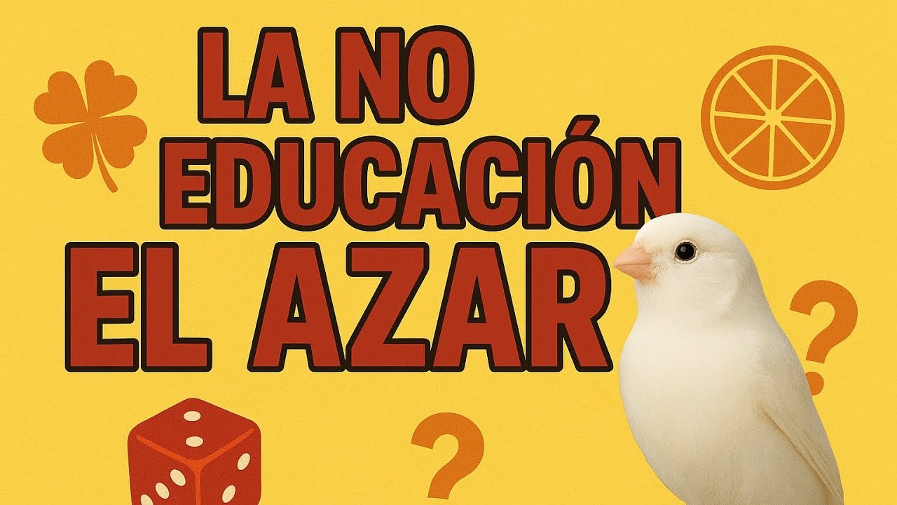 LA NO EDUCACIÓN. EL AZAR.