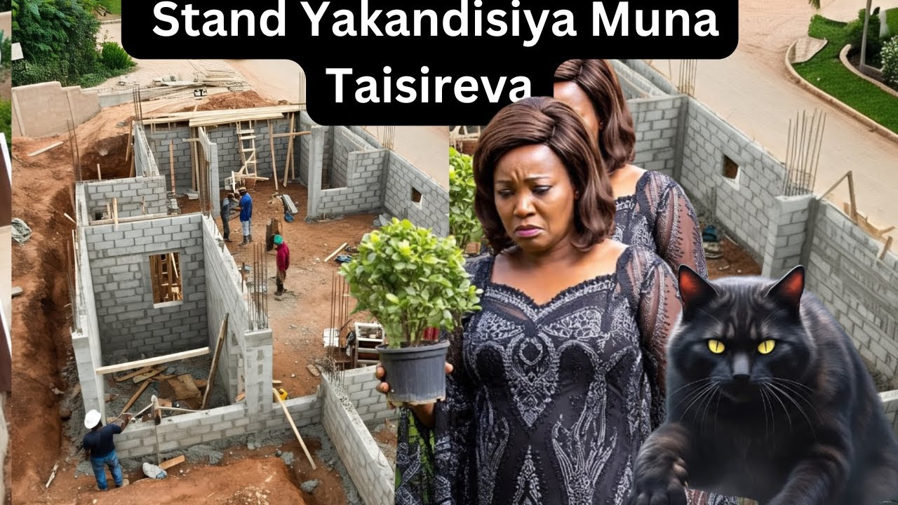 Kuromba Kwangu Ku Mozambique Mushure   ndatengeserwa stand isina mapaper