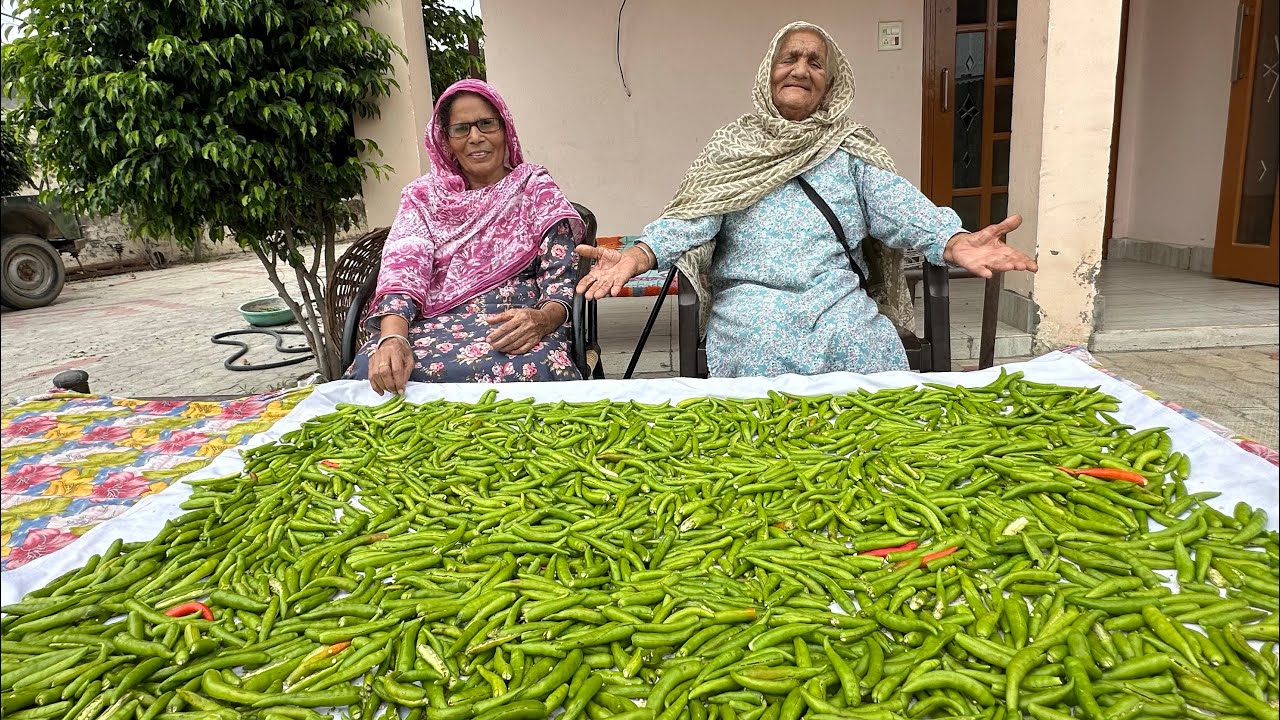 Instant Green Chilli Pickle | 10 Kg Mirch Da Achar | #harmankhosa #pickle 