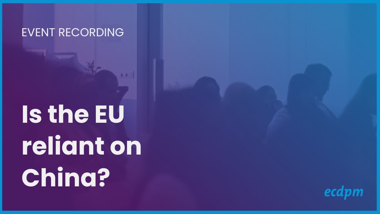 Europe’s green transition and external interdependencies