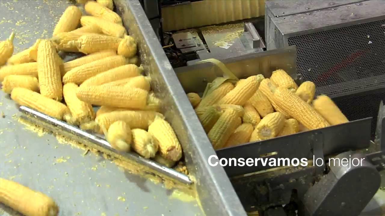 CONSERVAS CIDACOS - Planta de Funes