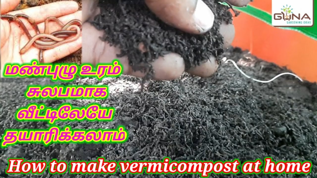 How to make vermicompost at home | best organic fertilizer | vermibed installation | மண்புழு உரம்