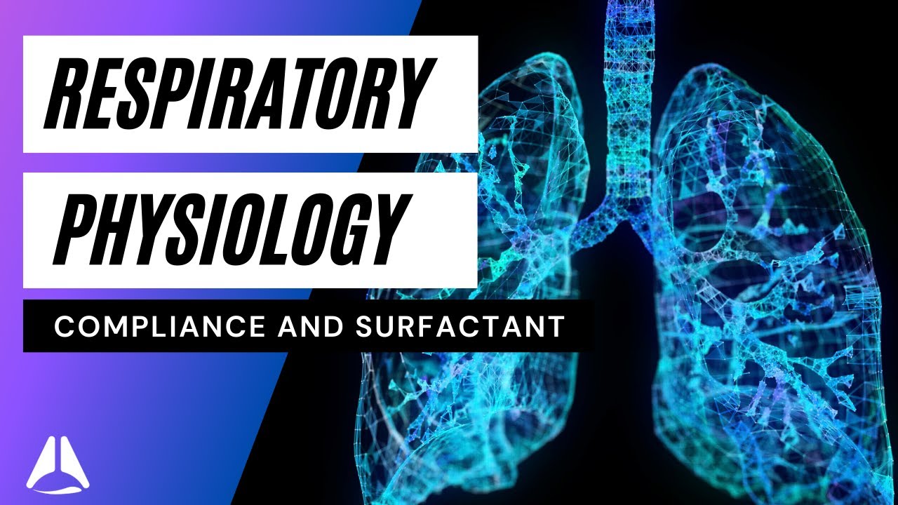 Respiratory physiology lecture 3 - compliance and surfactant - Part 1 anaesthesia