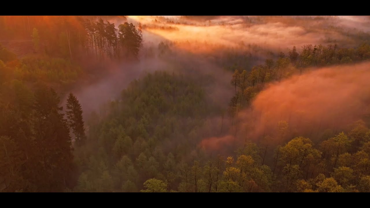Nadleśnictwo Skrwilno - film promocyjny