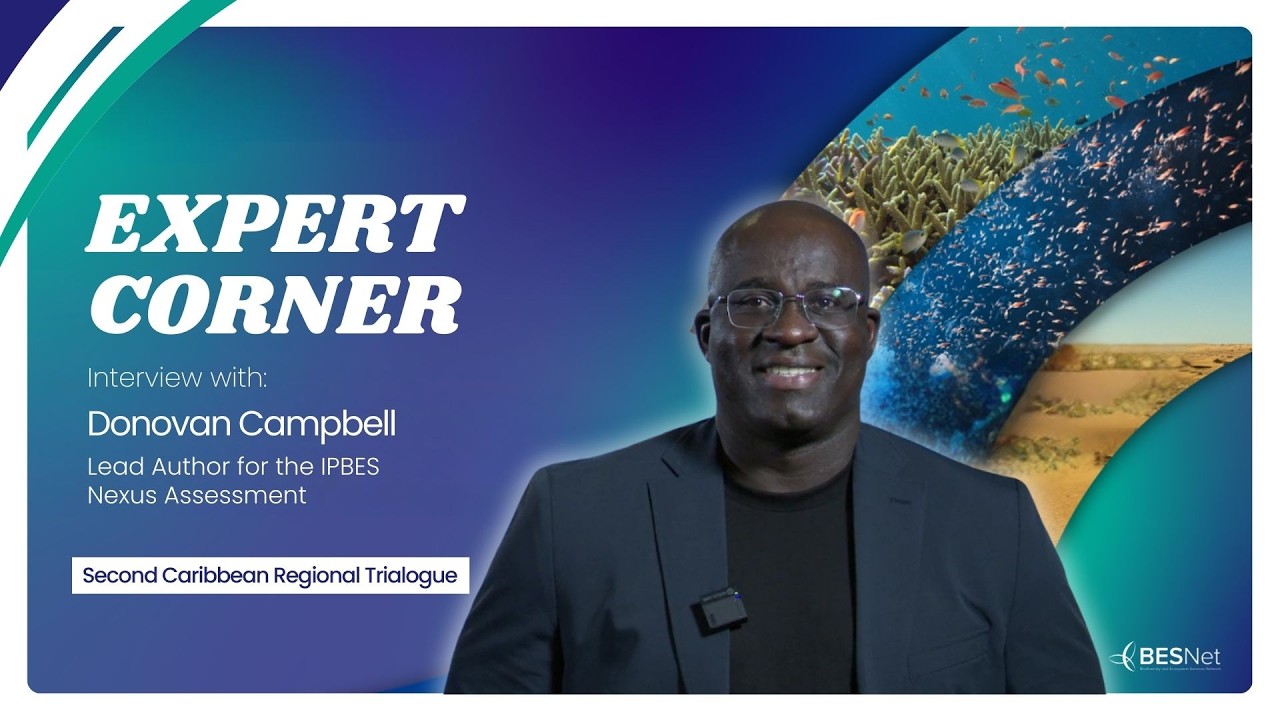 Expert Corner with Donovan Campbell at the BES-Net Second Caribbean Regional Trialogue