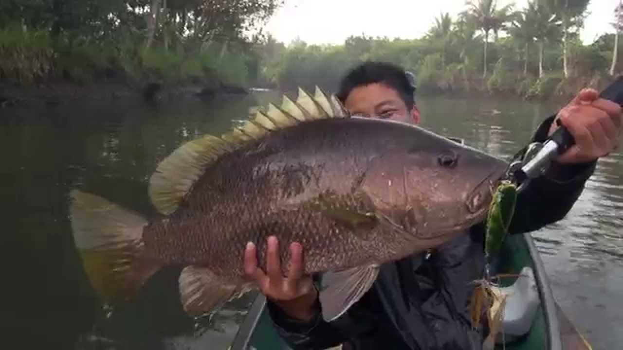 17lbs Papuan Black Bass on topwater with Gong Lei