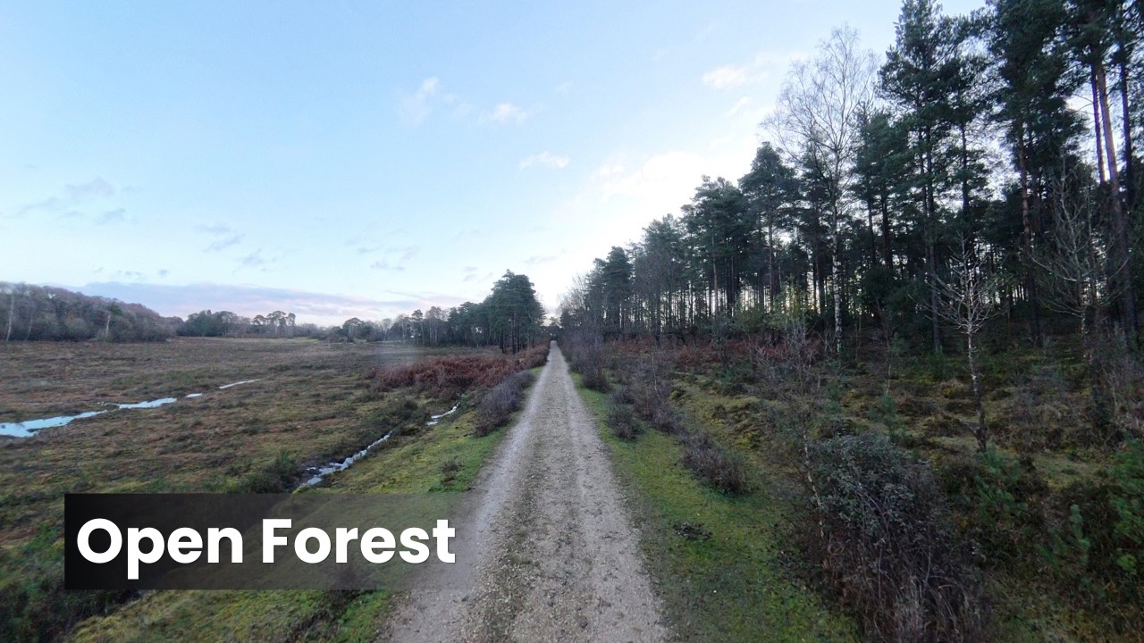 New Forest Walk 4K 360° - Longdown - Winter Sunrise