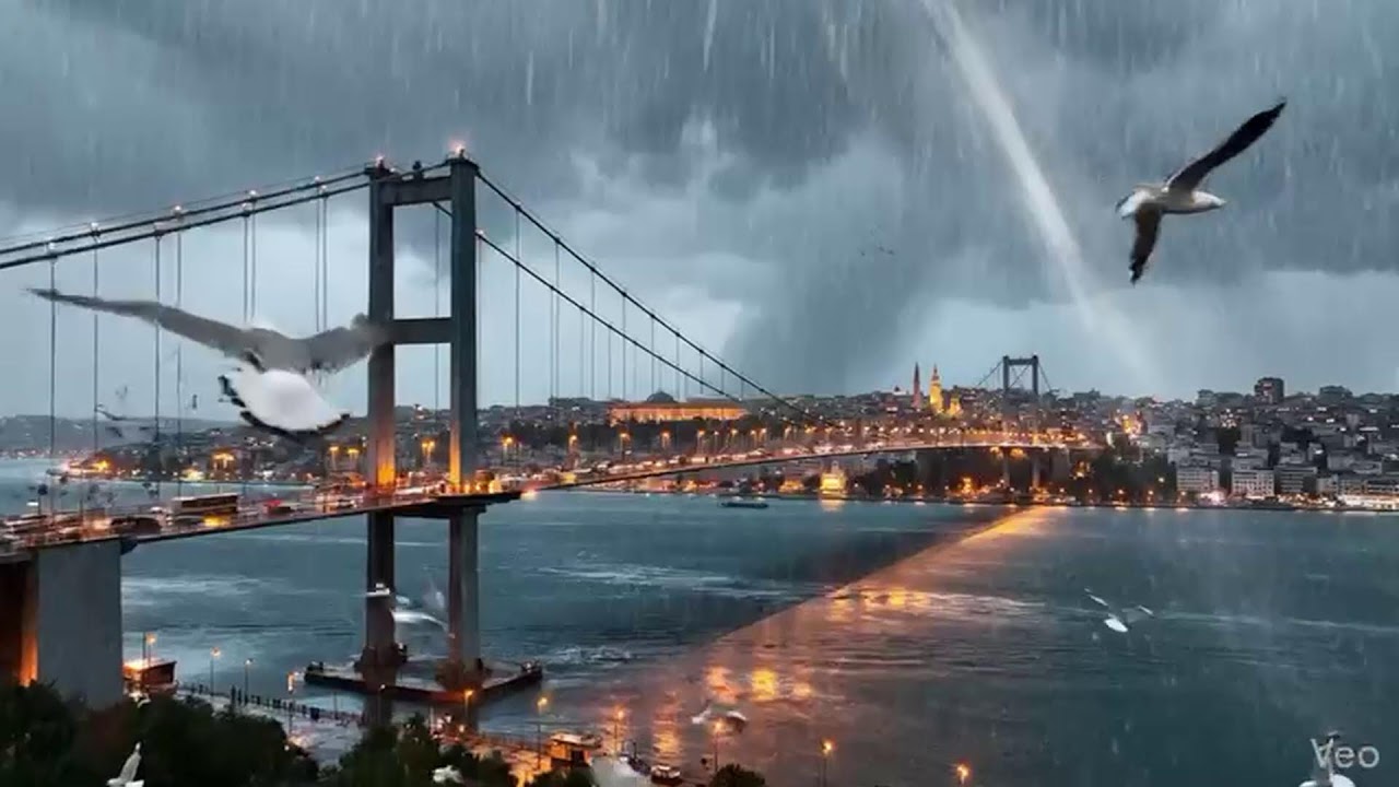 İstanbul Boğazı’nda Yağmurun Dansı ve Martıların Özgürlüğü | Huzur Veren Manzara 🌧️🕊️