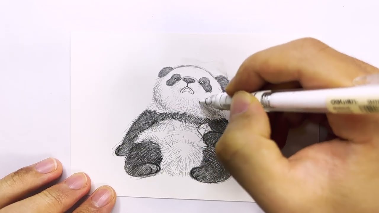 Draw panda Day 140🎉｜pencil sketch