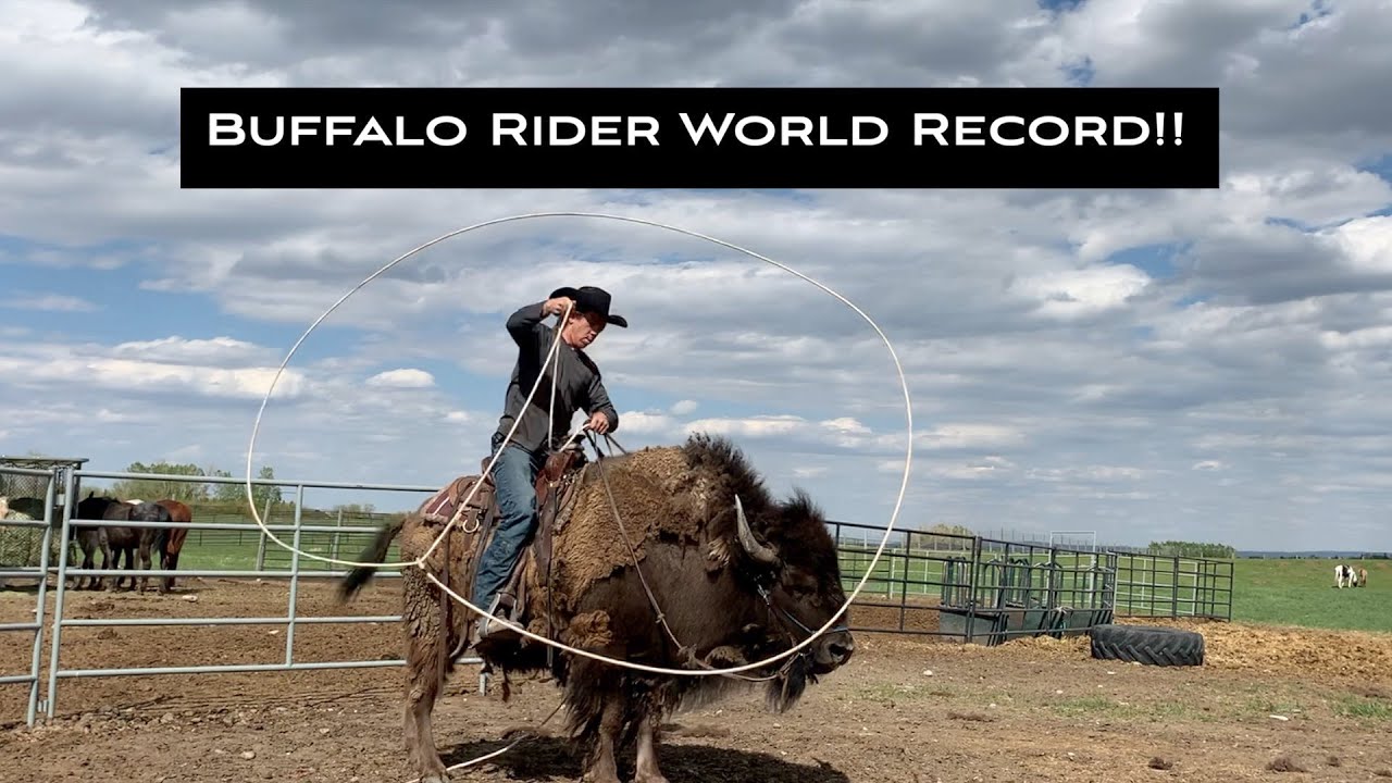 Buffalo Rider World Record