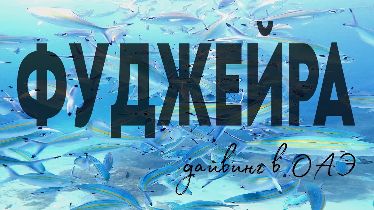 Дайвинг в Фуджейре (ОАЭ)