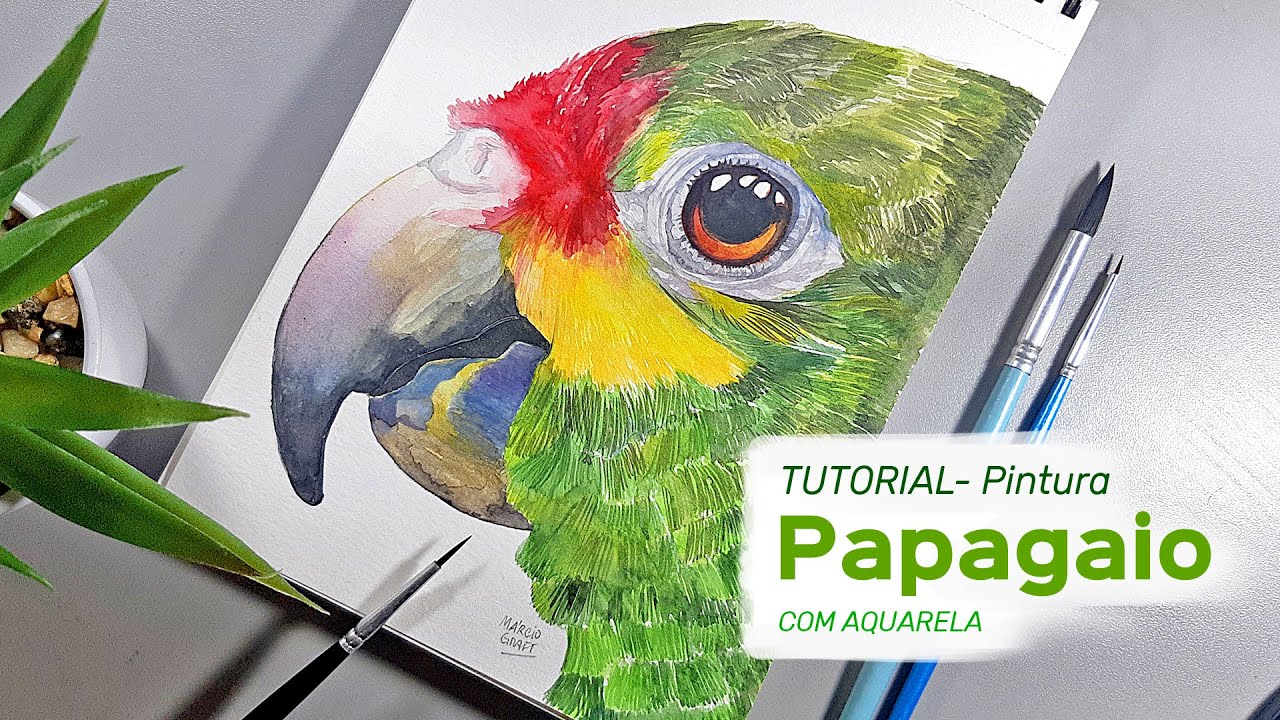 Pintura PAPAGAIO com aquarela I Watercolor parrot painting