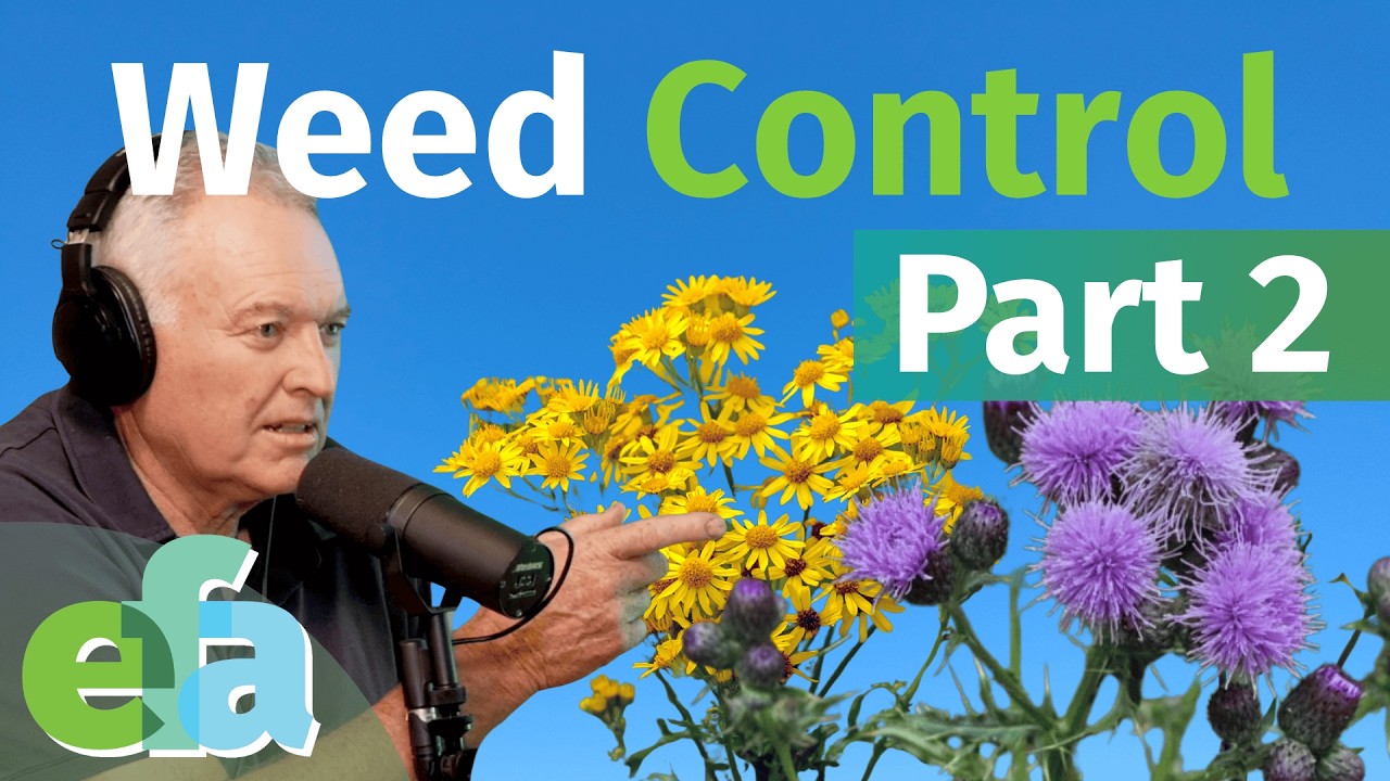 WEEDS PART 2: What They’re Really Telling You About Your Soil