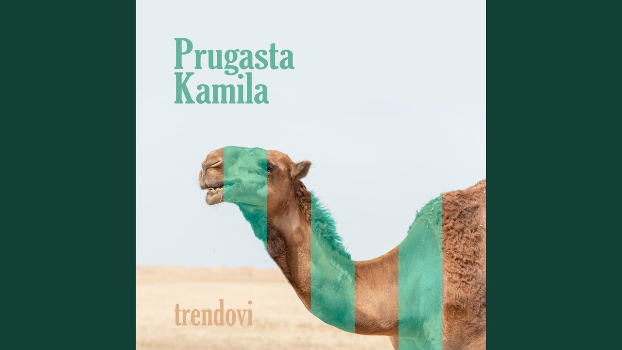 Trendovi