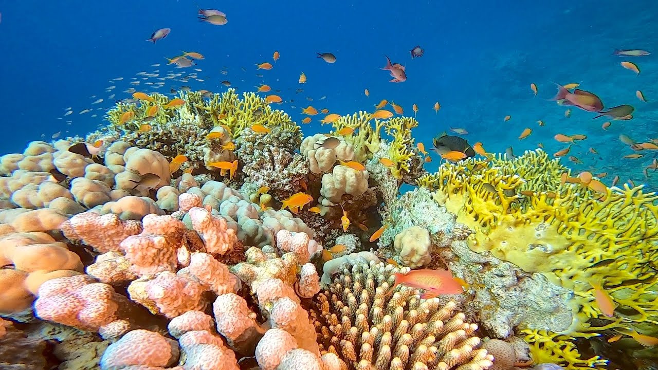 Sharm El Sheikh gennaio 2022