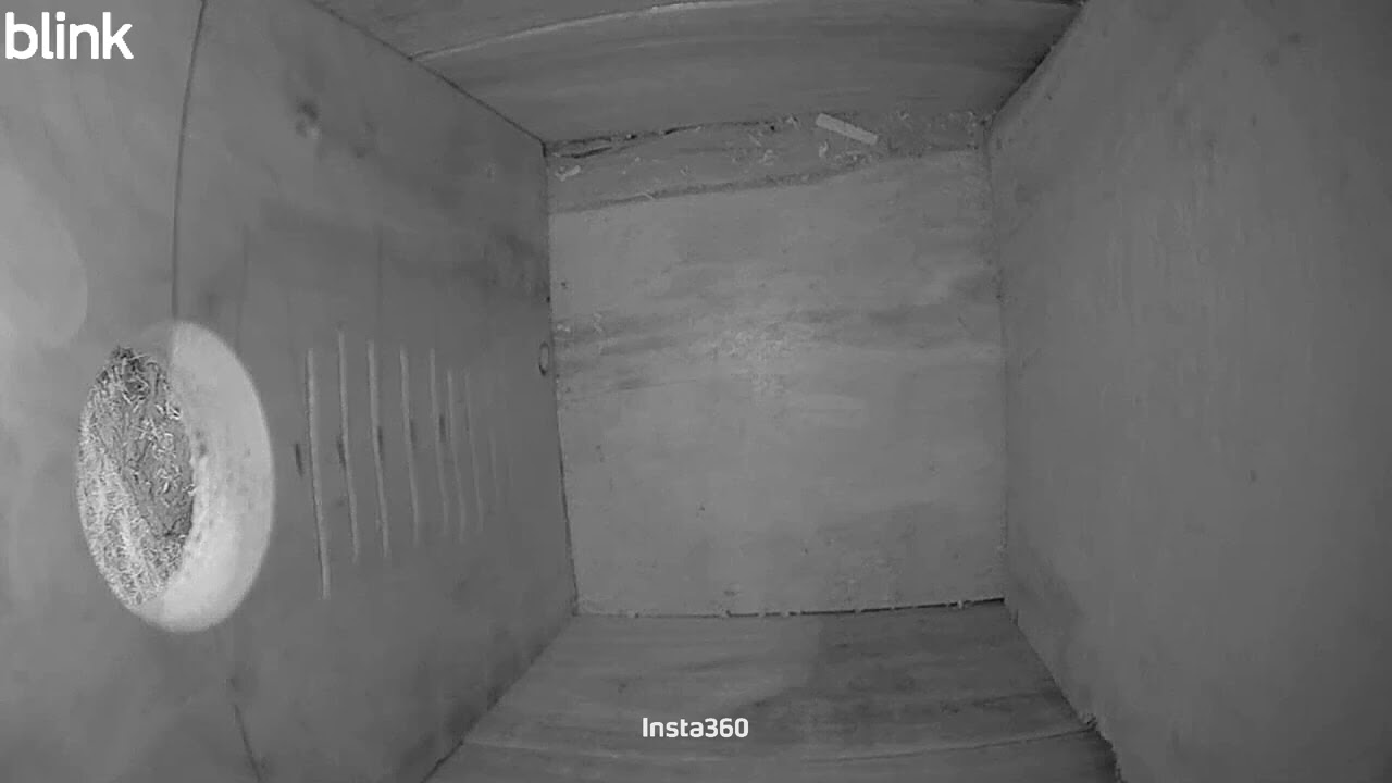 Day 8 - Bird House