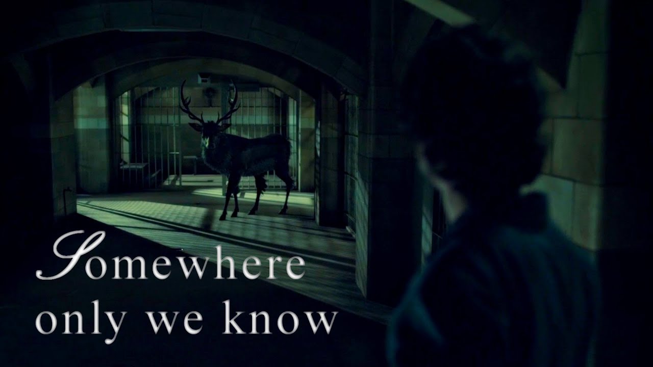 Hannibal & Will • Somewhere only we know