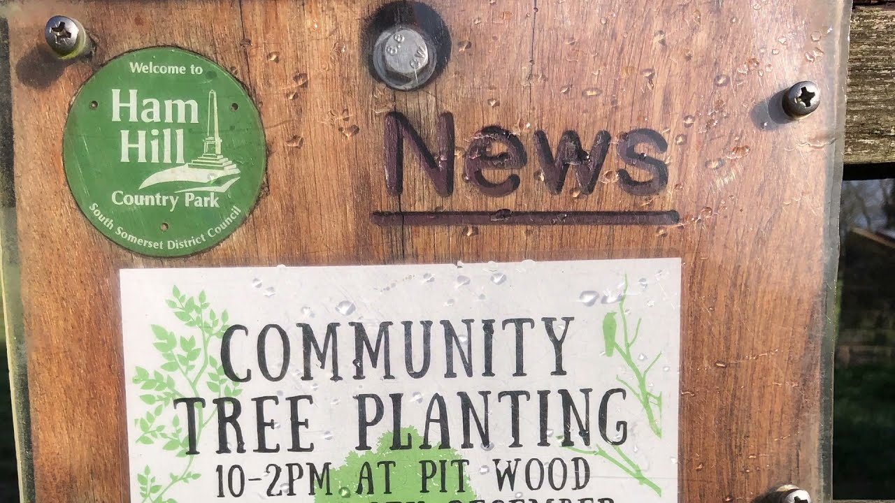 Community Tree Planting Day at Ham Hill Country Park