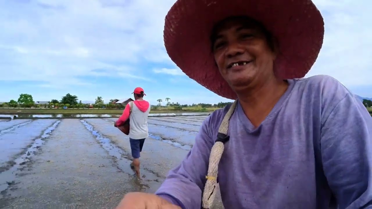 Ibat -ibang estilo sa pagpupunla ng palay.