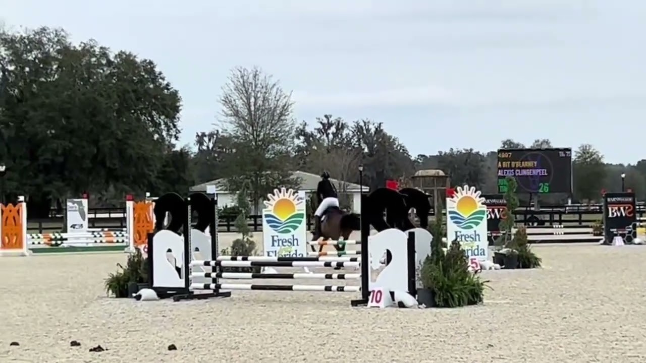 Blarney and I took on the 0.80m Classic Sunday and he did incredible