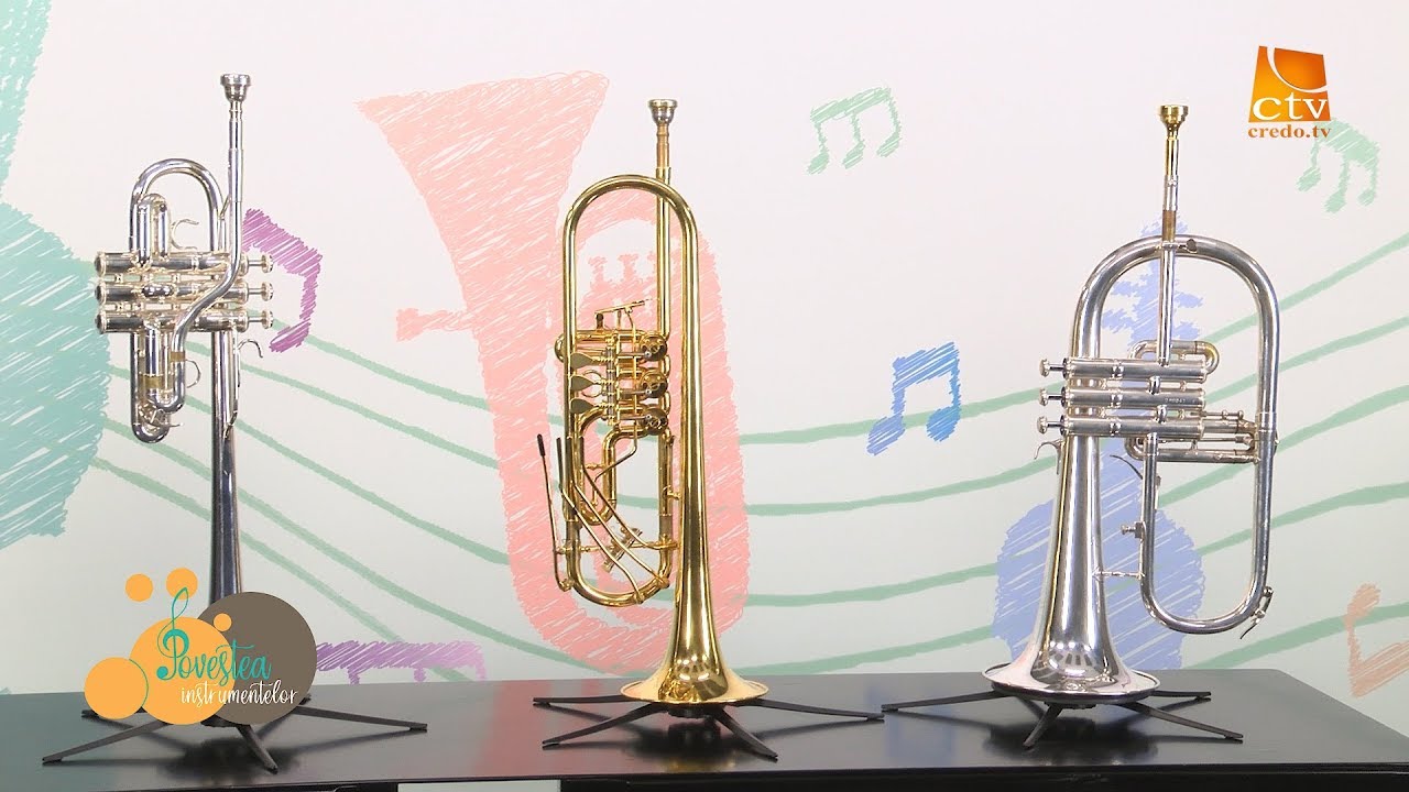 010.  Povestea Instrumentelor - Trompeta