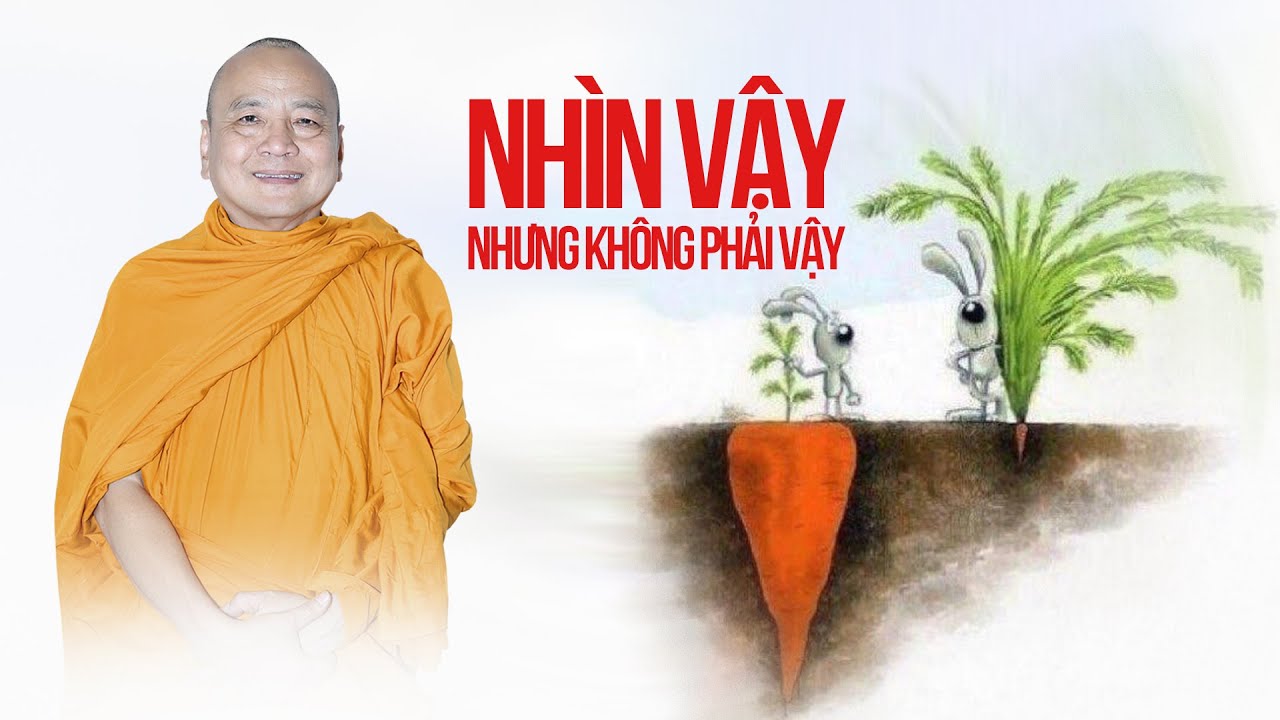Đừng vội phán xét người khác, nhìn vậy nhưng không phải vậy | Sư Bửu Chánh