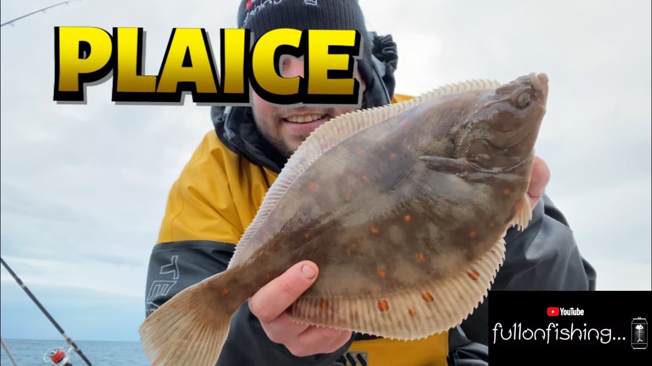 Target Species Acquired Sea Fishing for PLAICE on SEATON BEACH. UK Devon Shore Angling 2023.