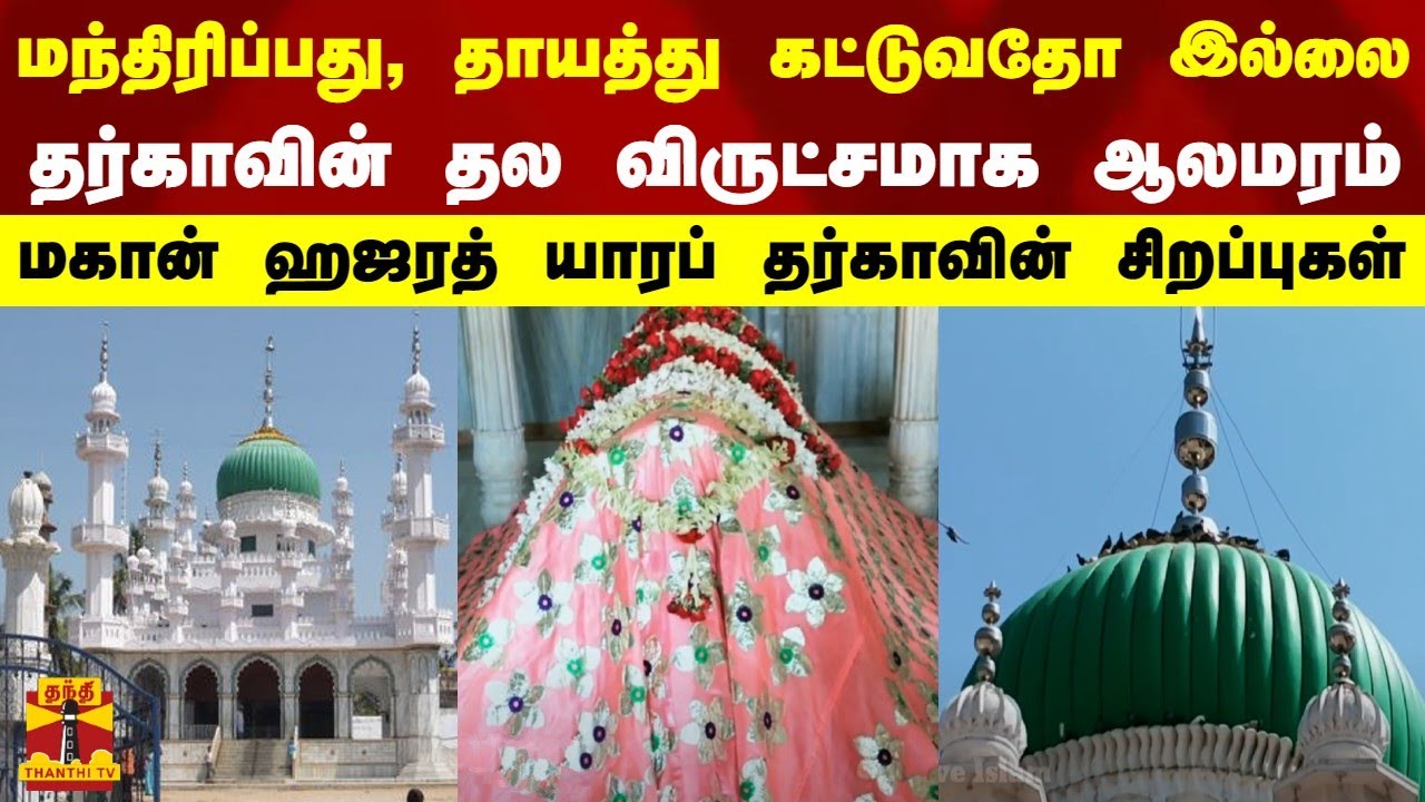 மந்திரிப்பது, தாயத்து கட்டுவதோ இல்லை..தர்காவின் தல விருட்சமாக ஆலமரம் - மகான் ஹஜரத் யாரப் தர்கா