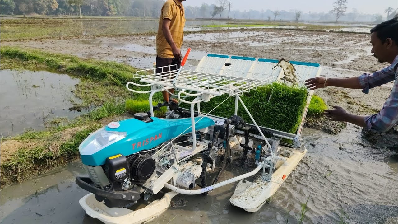 TRISPAN RICE TRANSPLANTER MECHANIC, 4 ROW// TRISPAN//HARVESTER INFO//Best Farming Equipment 