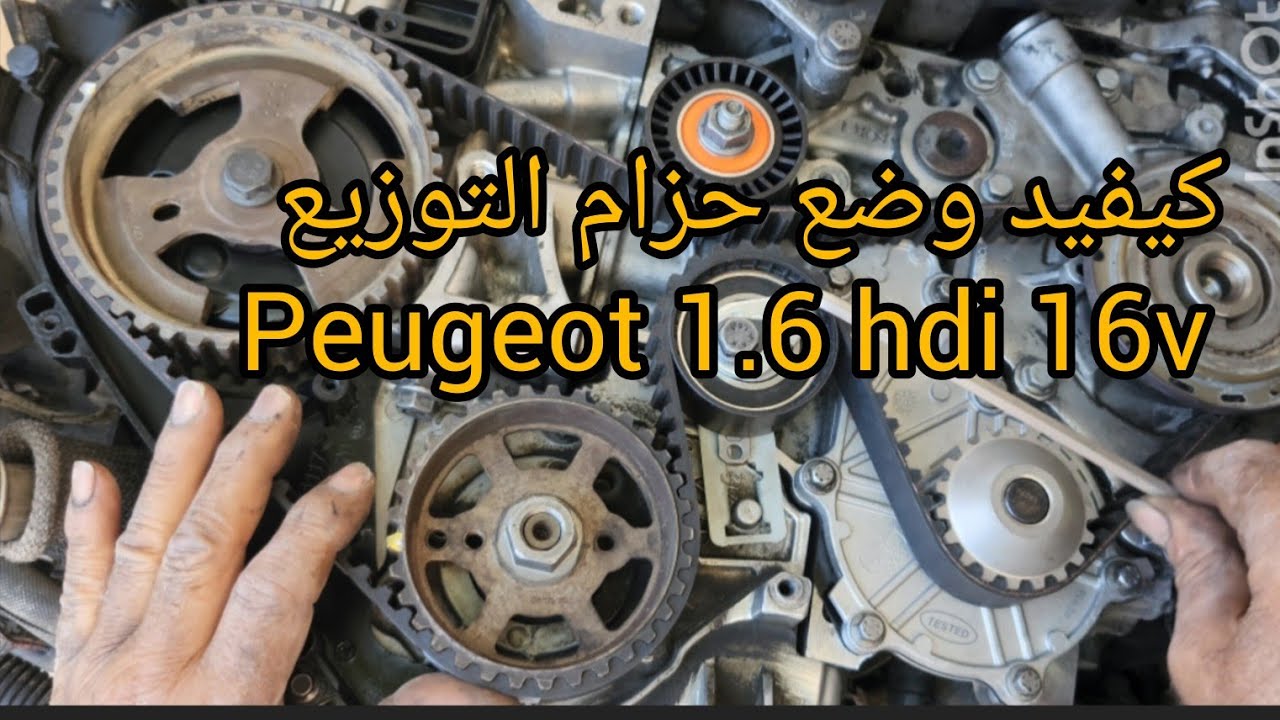 Comment changer Courroie de Distribution Moteur Peugeot,  Citroën 1.6 hdi 16v 