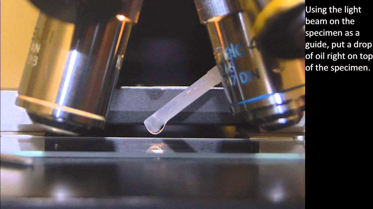 Oil Immersion Guide