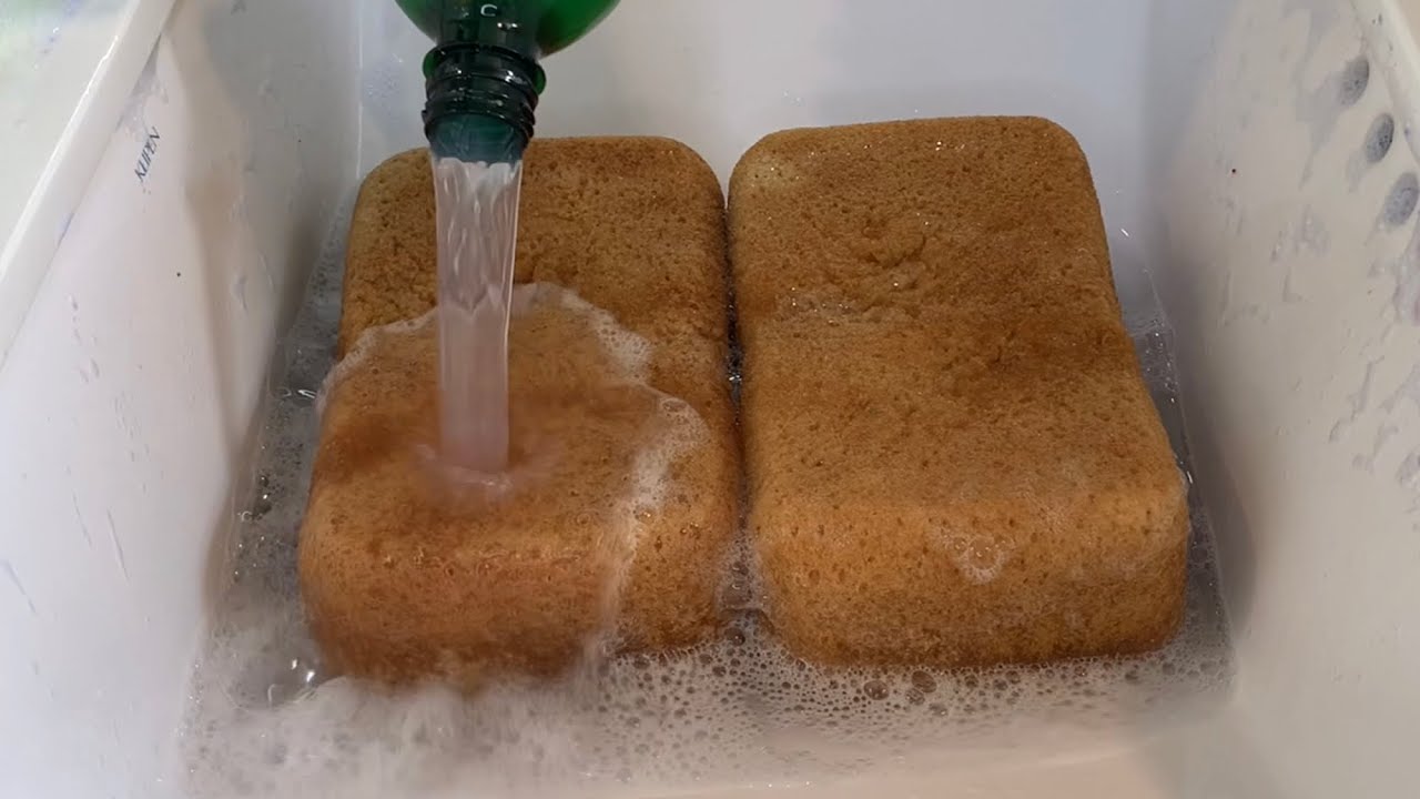 RECYCLED PINE WATER RINSE 💚🌲💦 VERY SATISFYING - sponge ASMR