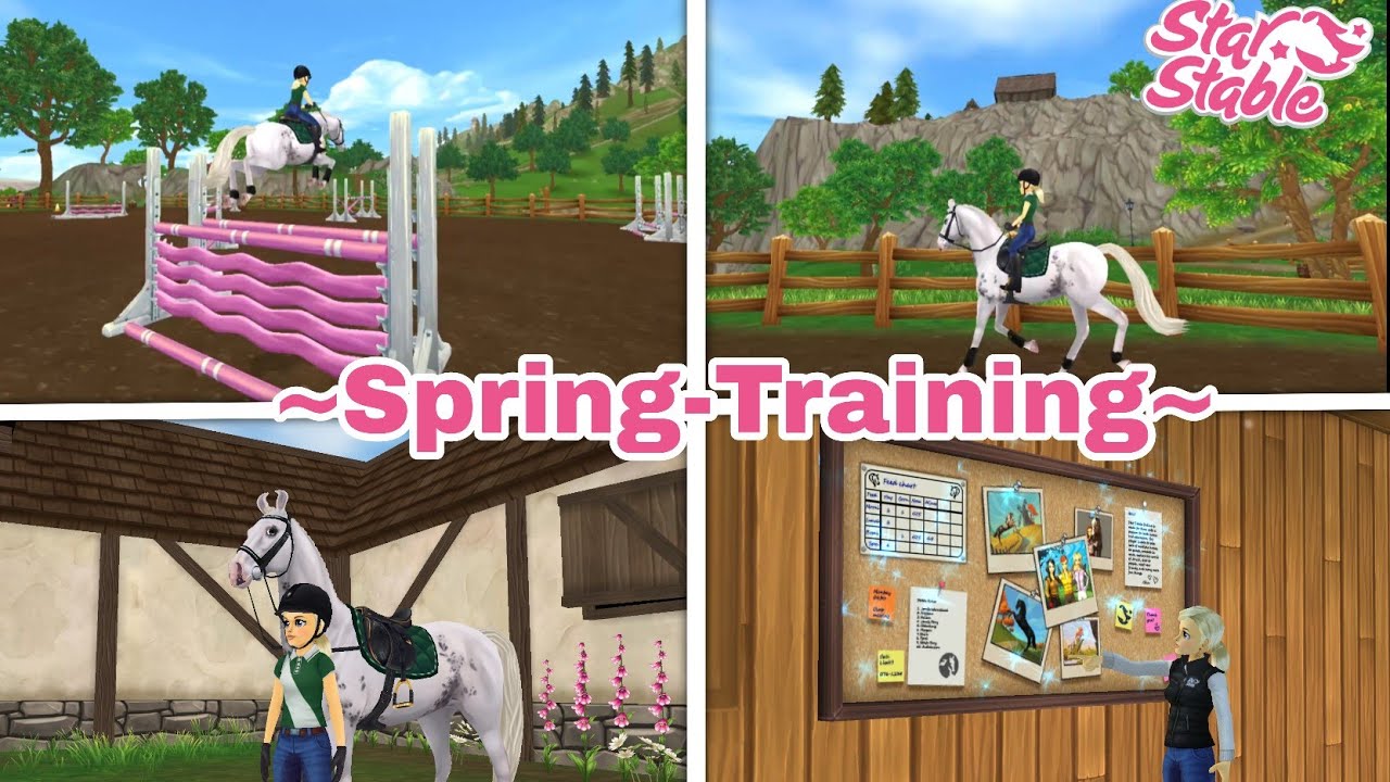 SSO fma||Spring-training #ssorealisticroleplay 🏆#sso