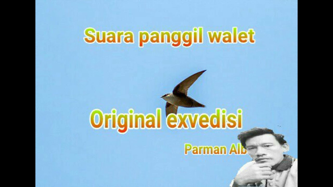 terbaru,2023 sp wallet original exvidisi